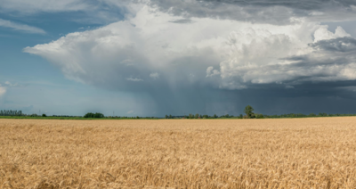 Kneehill County acreage with open prairie views