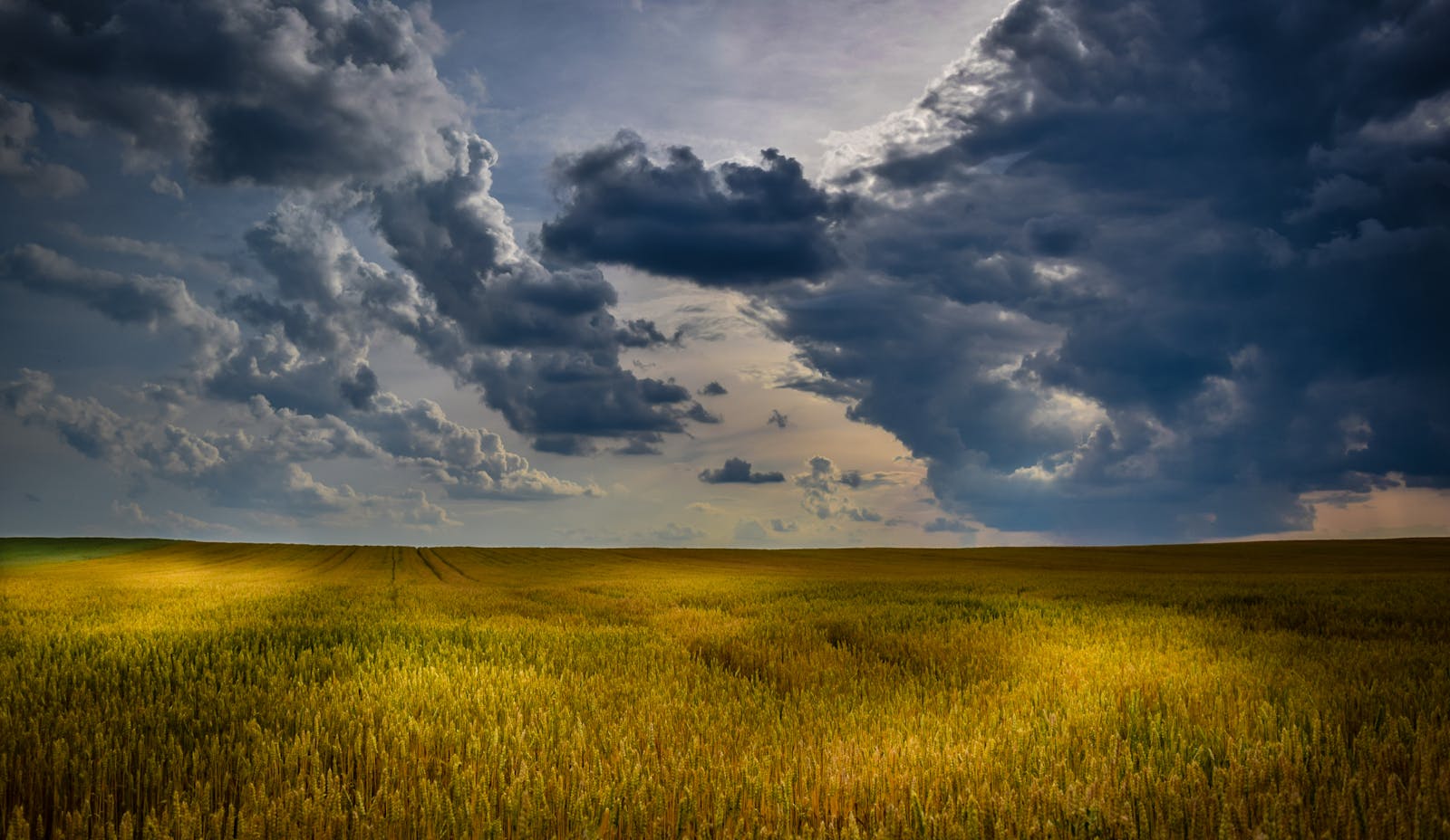 Scenic landscape view in Wheatland County, Alberta