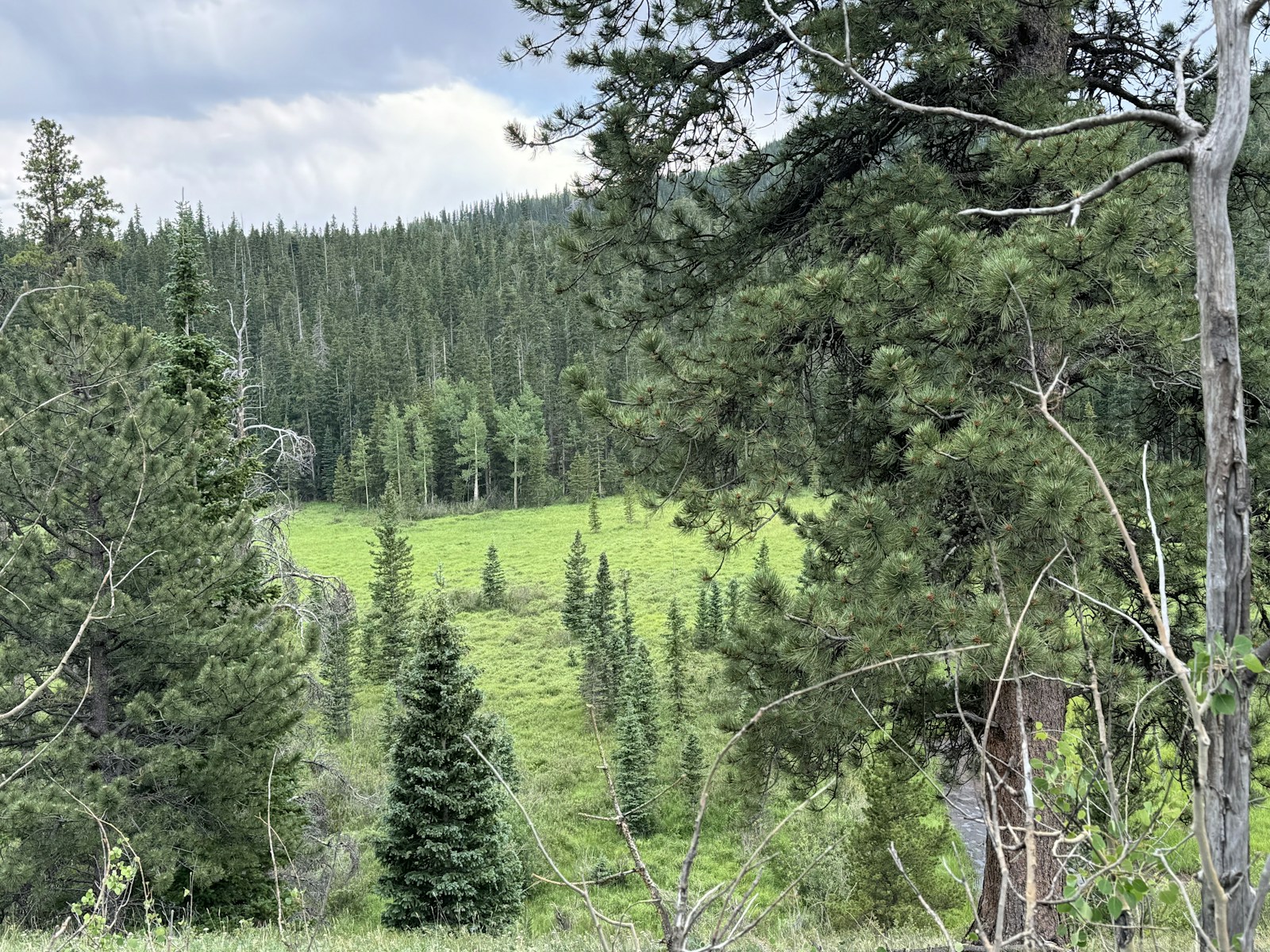 Scenic landscape view in Wheatland County, Alberta