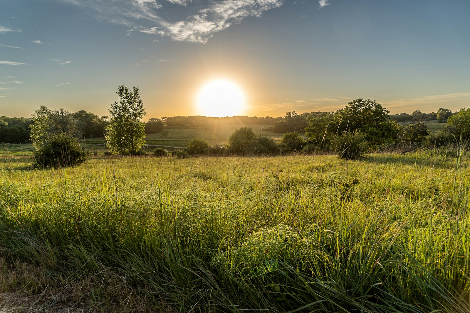 Explore Acreages for Sale in Clearwater County | Rural Properties & Country Homes