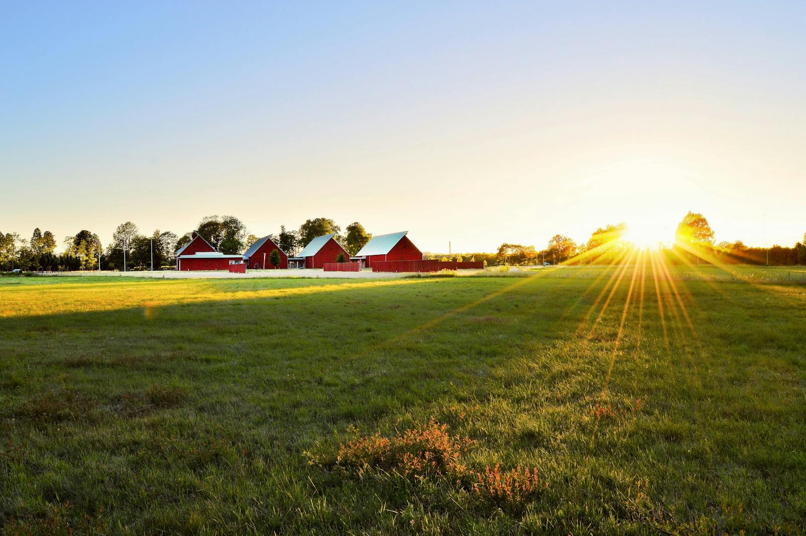 Springbank Acreages for Sale in Calgary