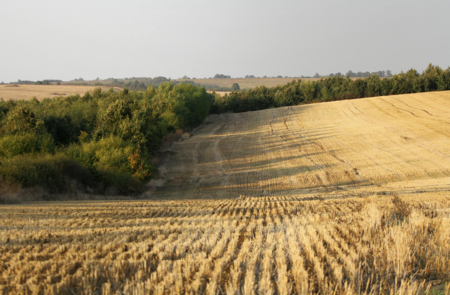 Wheatland County acreage property with open land and prairie sky