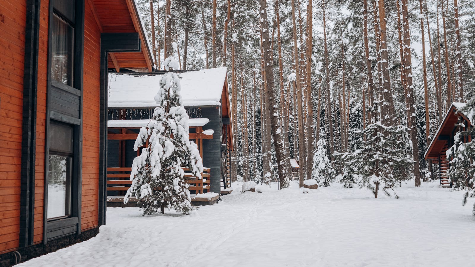 A luxury home in Bragg Creek with beautiful forest and mountain views.