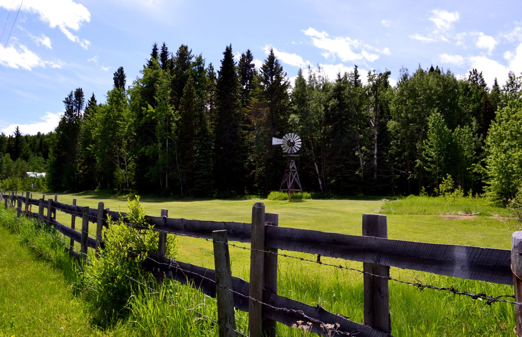 Discover the Best of Foothills County: Real Estate, Community, and Rural Charm