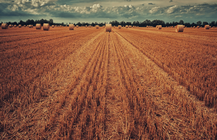 Are Acreage Prices Near Calgary Going Up or Down in 2025?