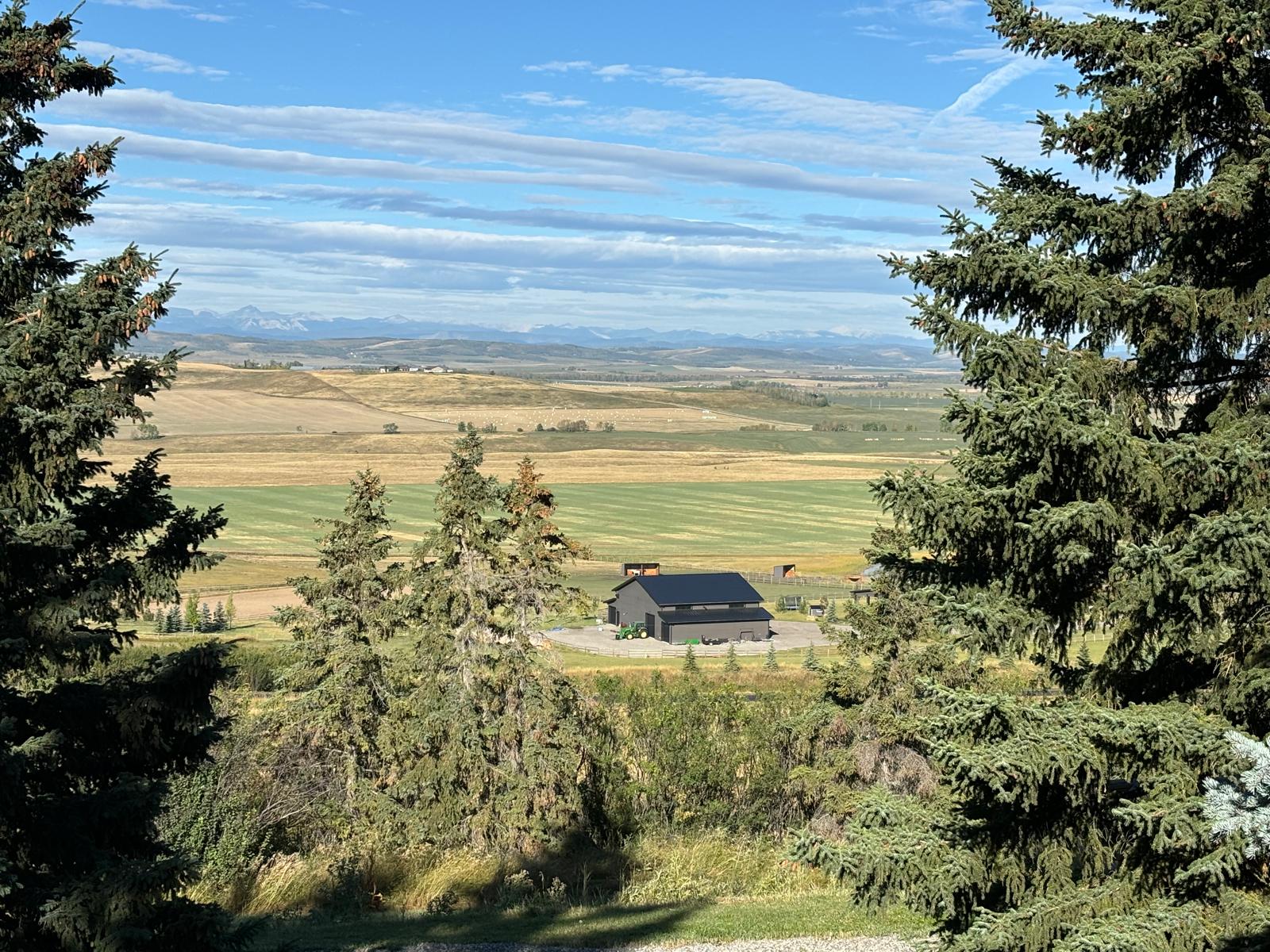 Realtor in Okotoks Diane Richardson | Realtor in Okotoks