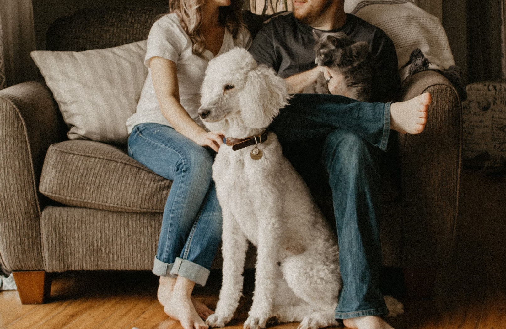 Explore Your Dream Home: Harvest Hills Homes for Sale in Calgary