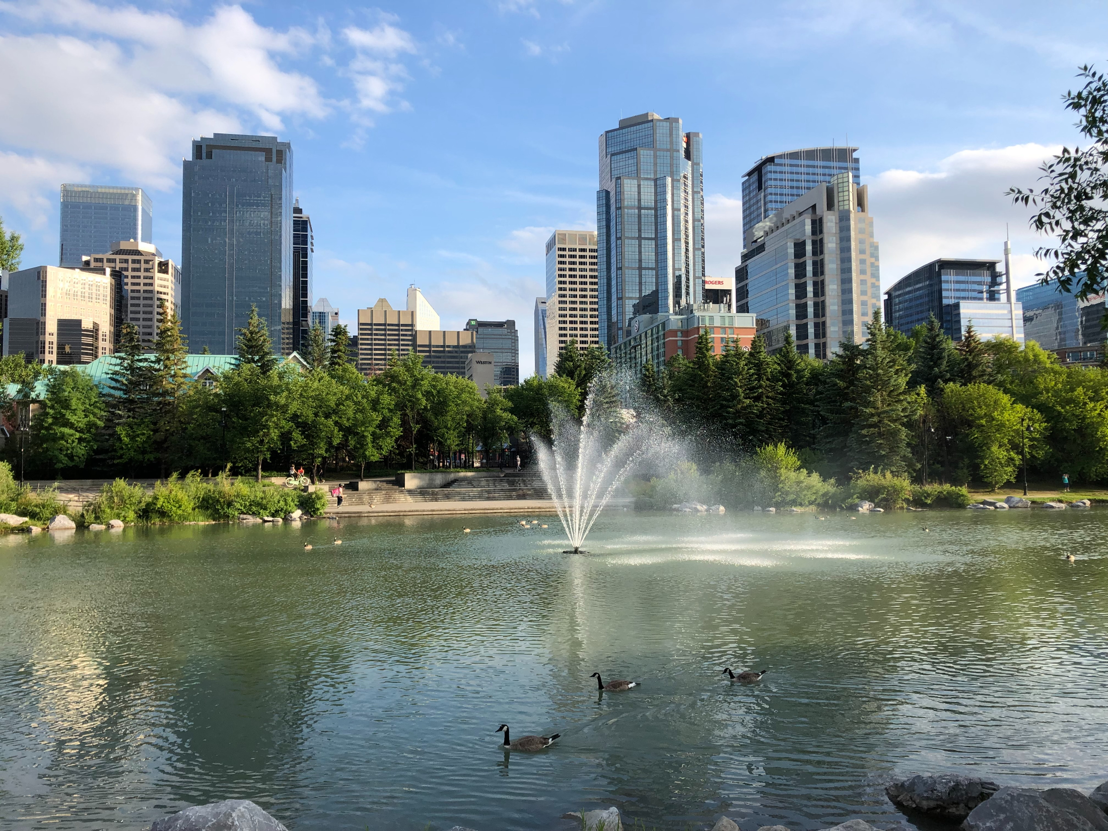 Calgary Houses for Sale: Finding Your Dream Home in the Heart of Canada