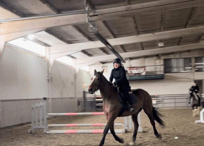 Equestrian Realtor Calgary & Southern Alberta
