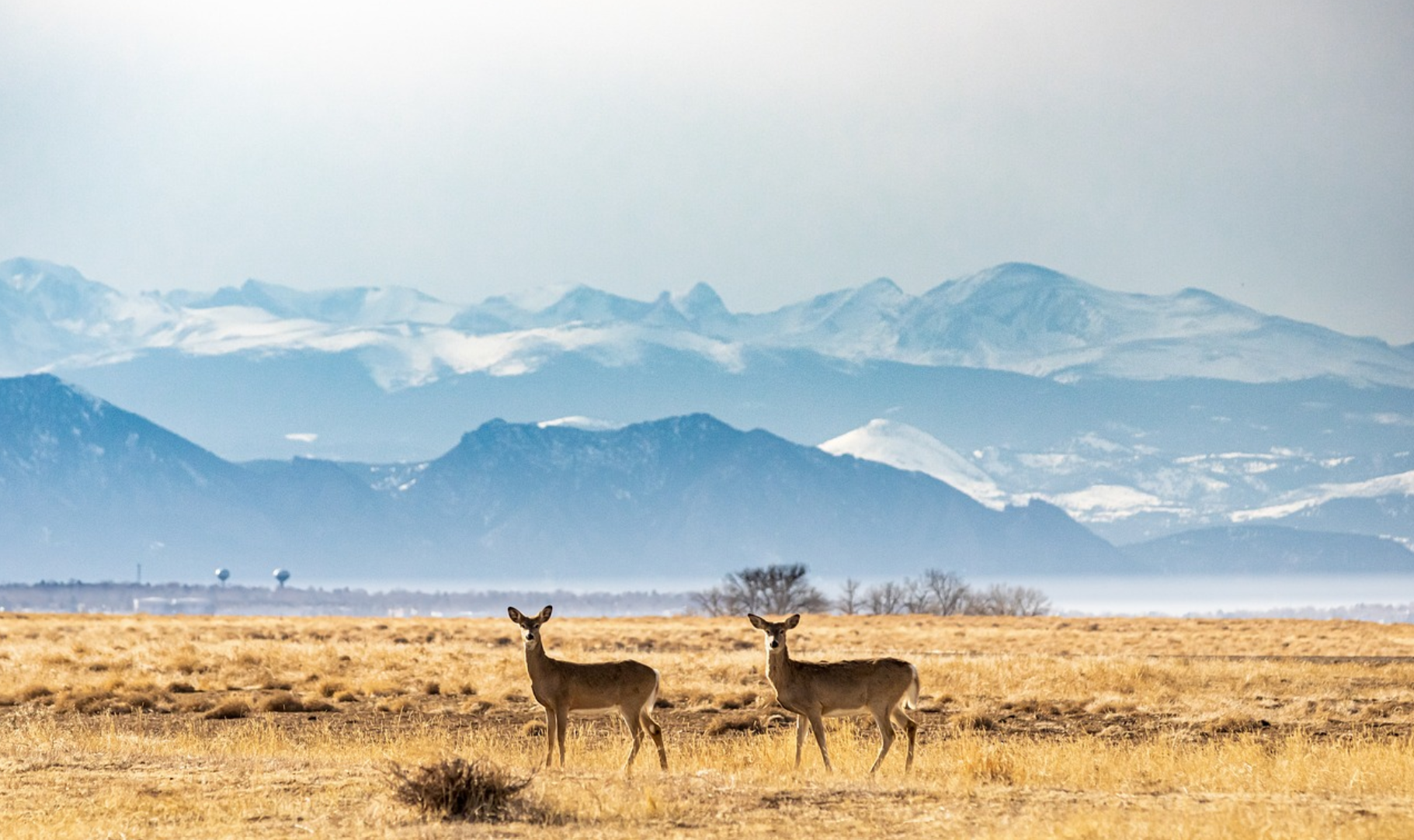 Exploring the Charm and Real Estate Opportunities of Rocky View County