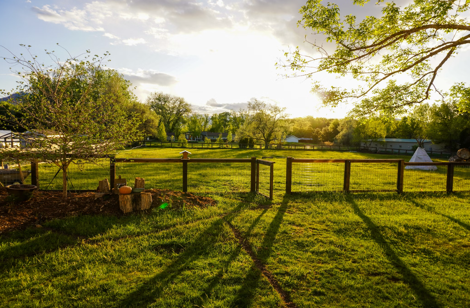 Calgary Area Acreages: Where Nature Meets Convenience